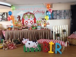 decoracion de fiestas infantiles para niños